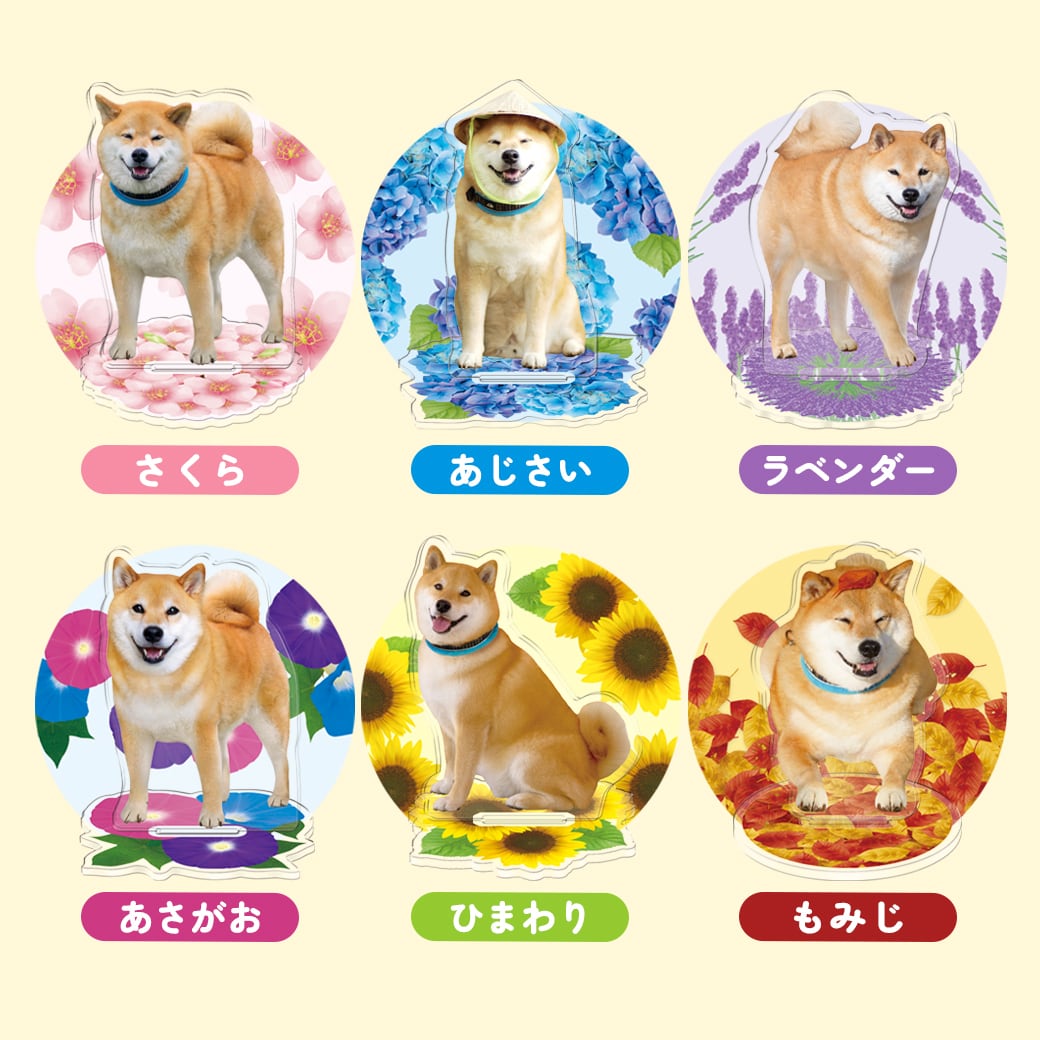 まる柴 柴犬まる☆アクリルスタンド | marutaroshop