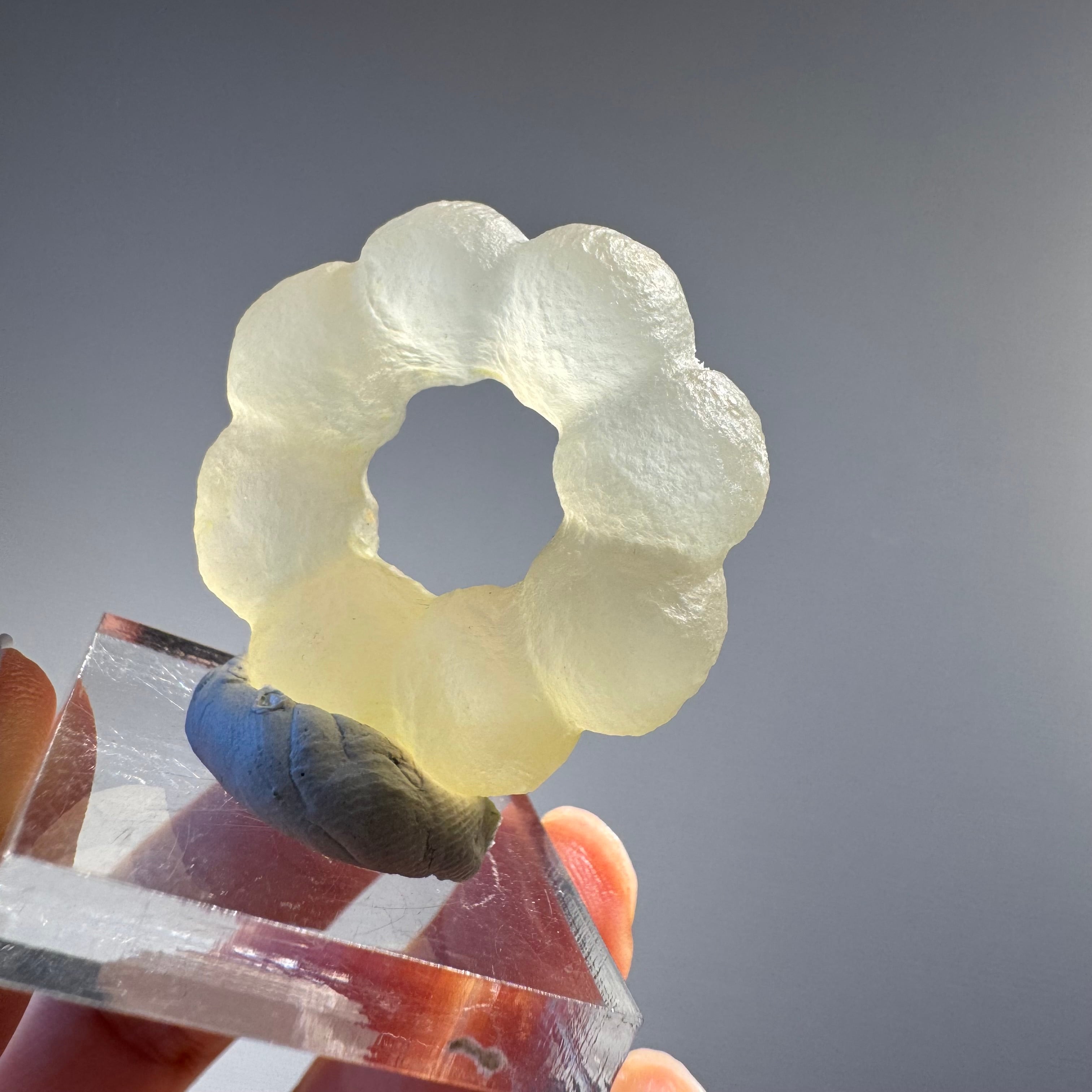 ポンデリングフローライト母岩なし＊ブドウ状蛍石原石＊251001＊天然石