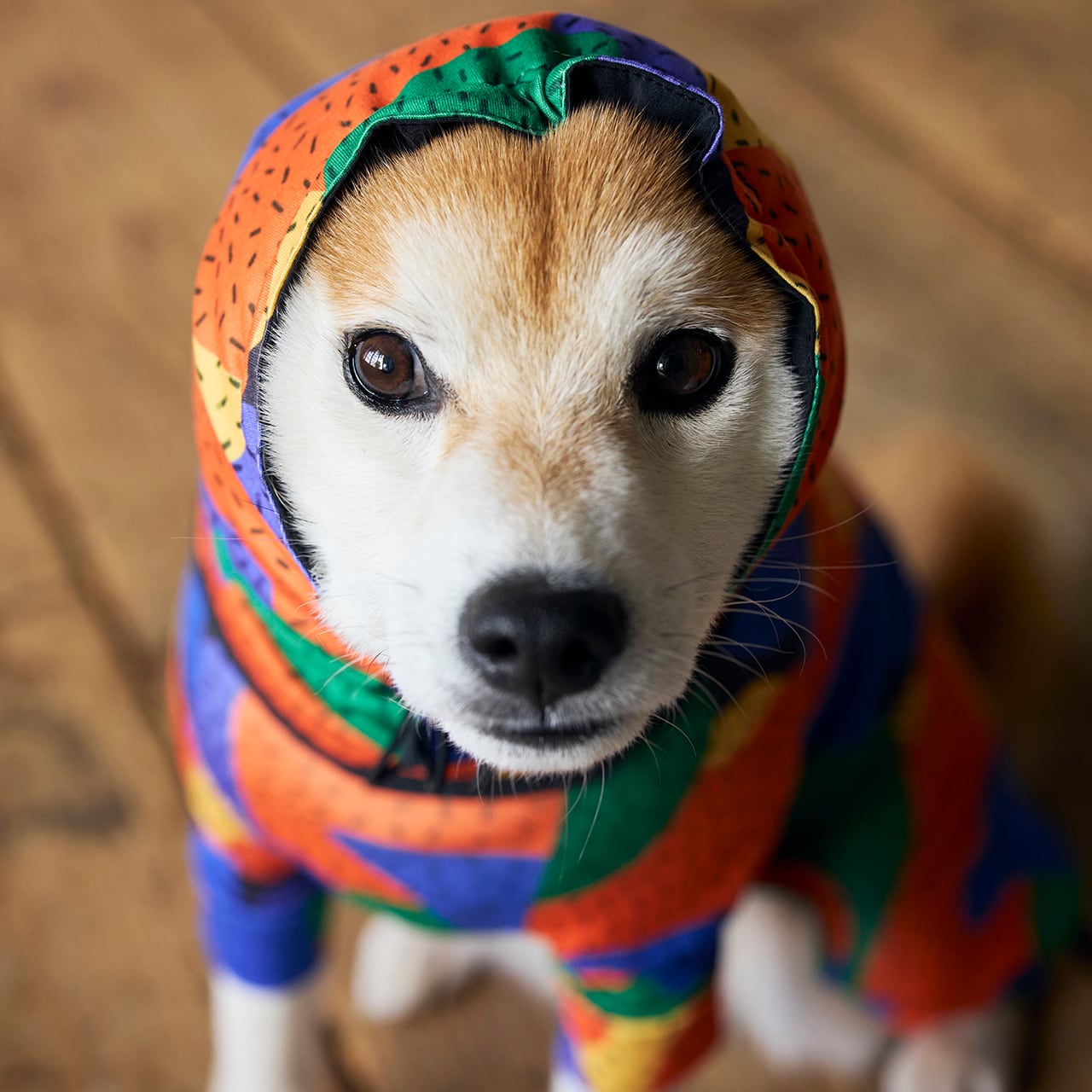 REVERSIBLE SNOOD（S）リバーシブルスヌード | MANDARINE BROTHERS