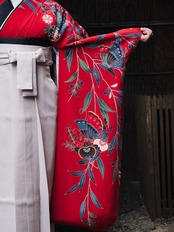 卒業式振袖袴 FH-24