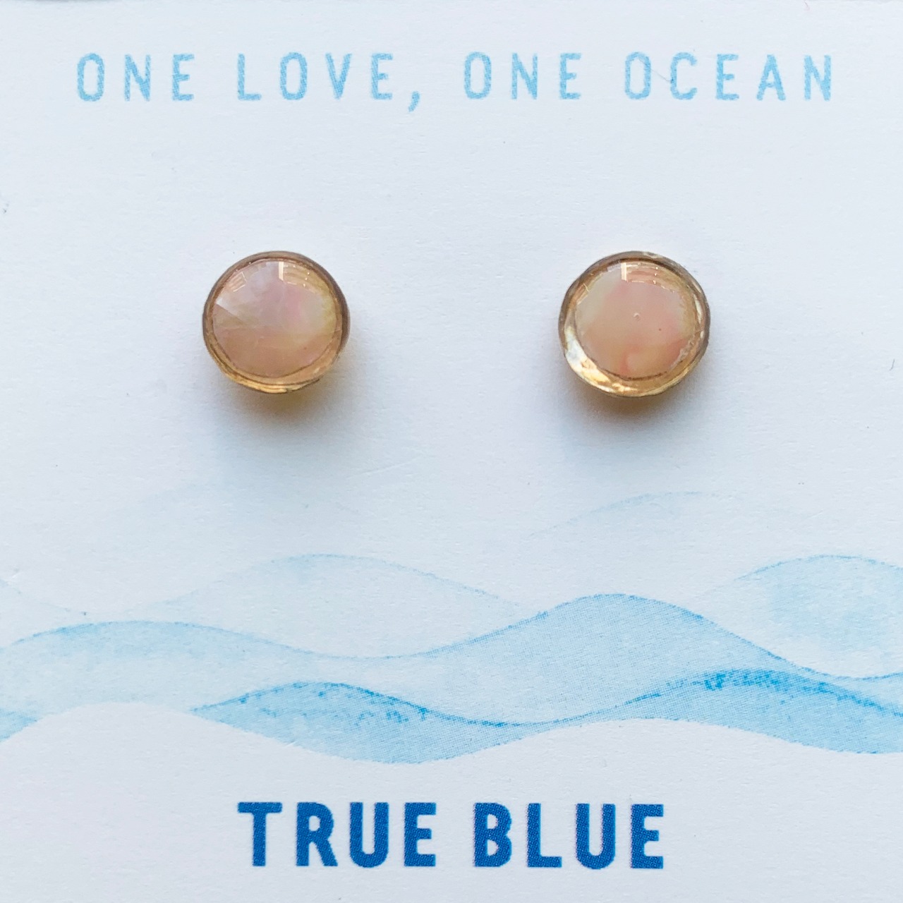 海洋プラスチック・ピアス　P-24