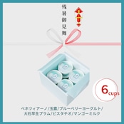 MinNaの残暑御見舞おまかせ6個セット