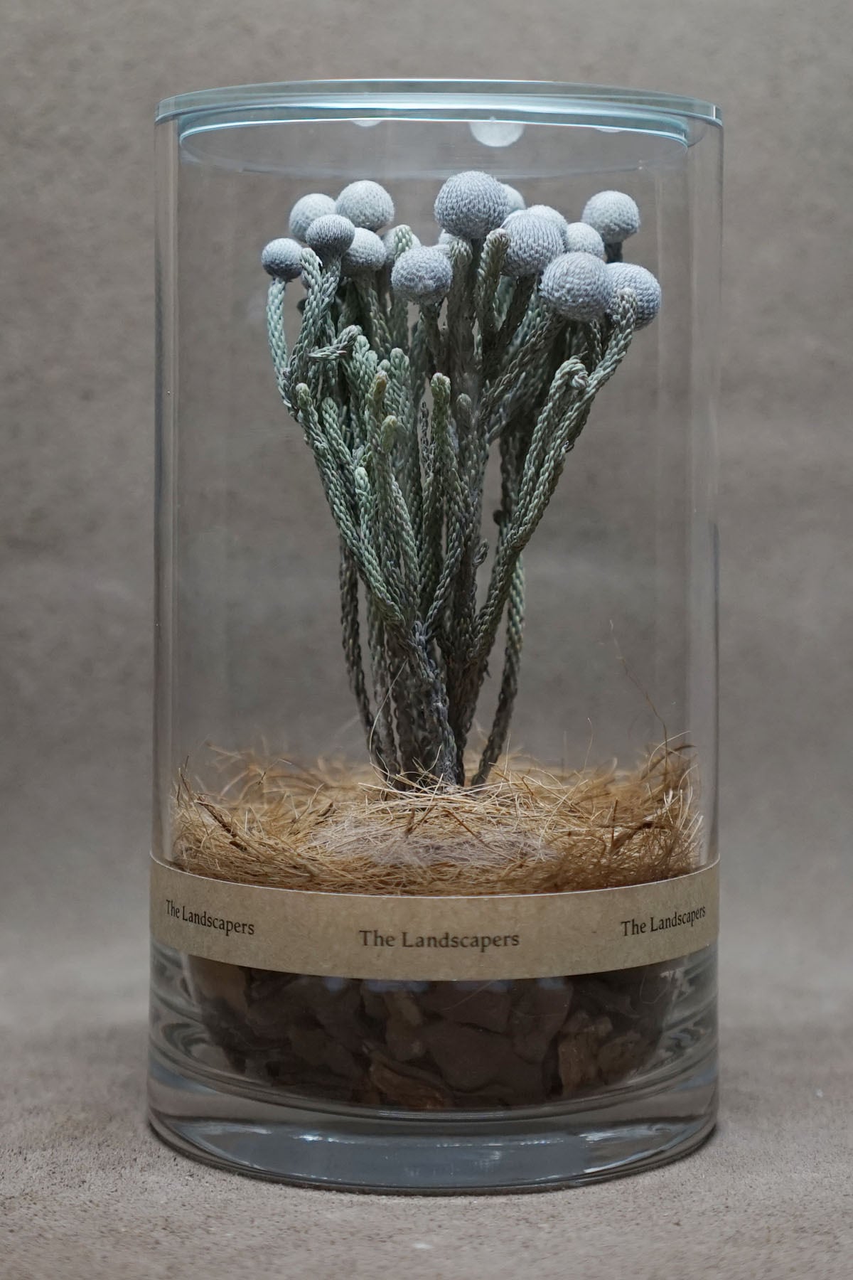 DRY CYLINDER『Brunia』 | The Landscapers