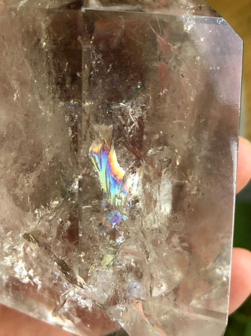 根を張り、源ともつながり、変容と現実化の魔法が起こるとき