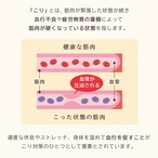 管理医療機器 リカバリ―トッパー リカバリ―敷パッド 磁気入 テラヘルツ人口鉱石プリント HURONテクノロジー RESETTA