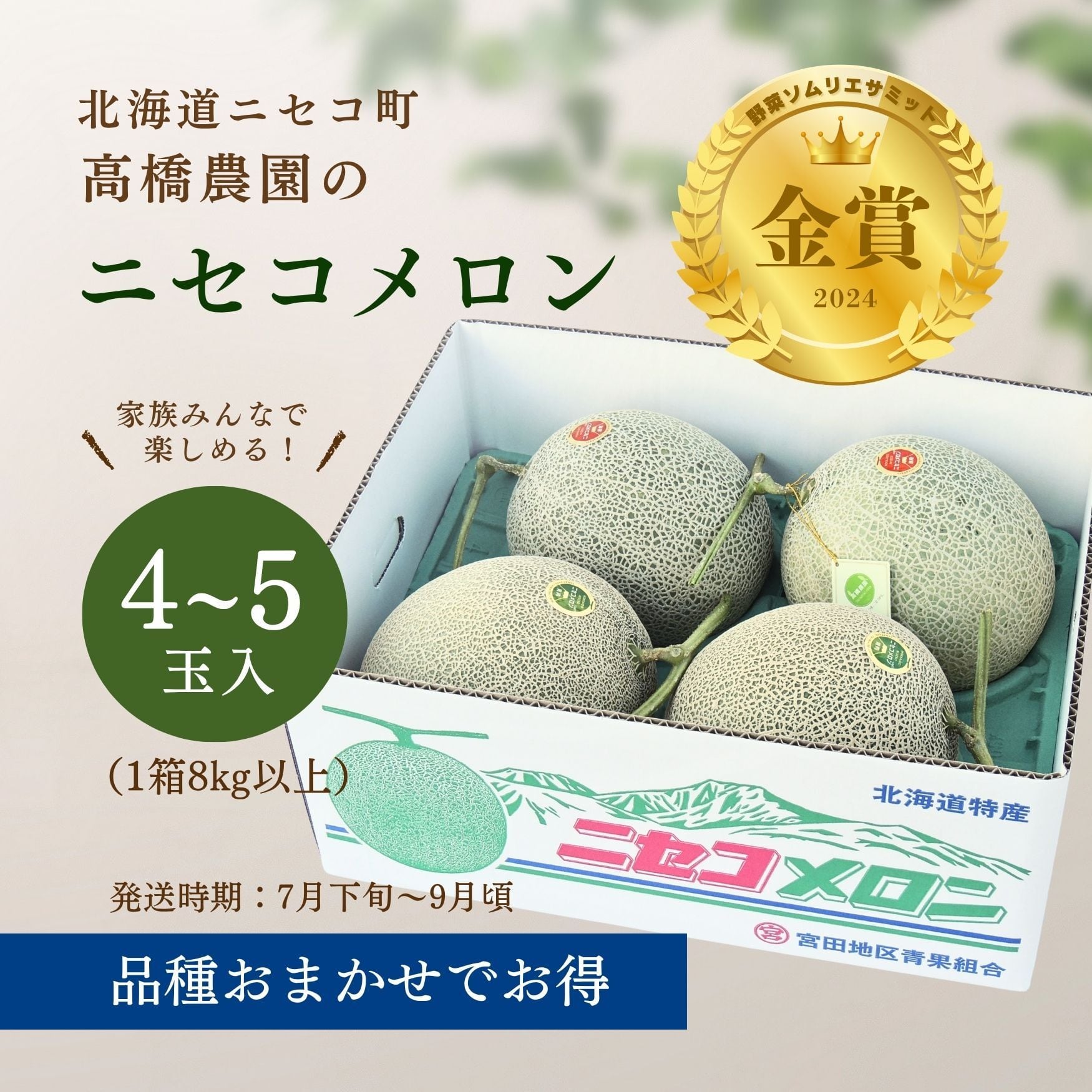 メロン4～5玉＜色おまかせ＞＜7月下旬～9月通常発送＞ | 北海道ニセコ