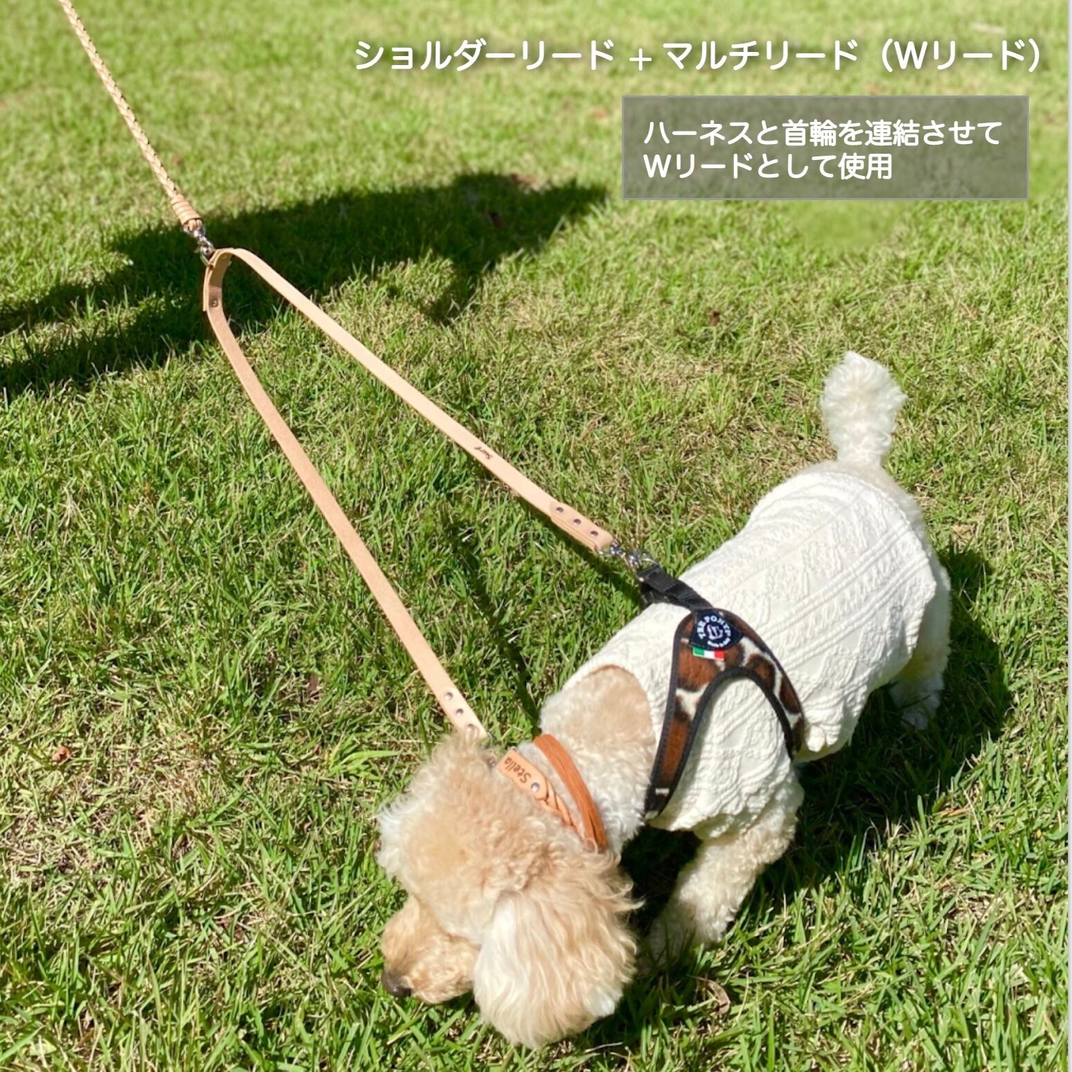 マルチリード / ヌメ本革 北海道レザー dog leash | オーダーメイド