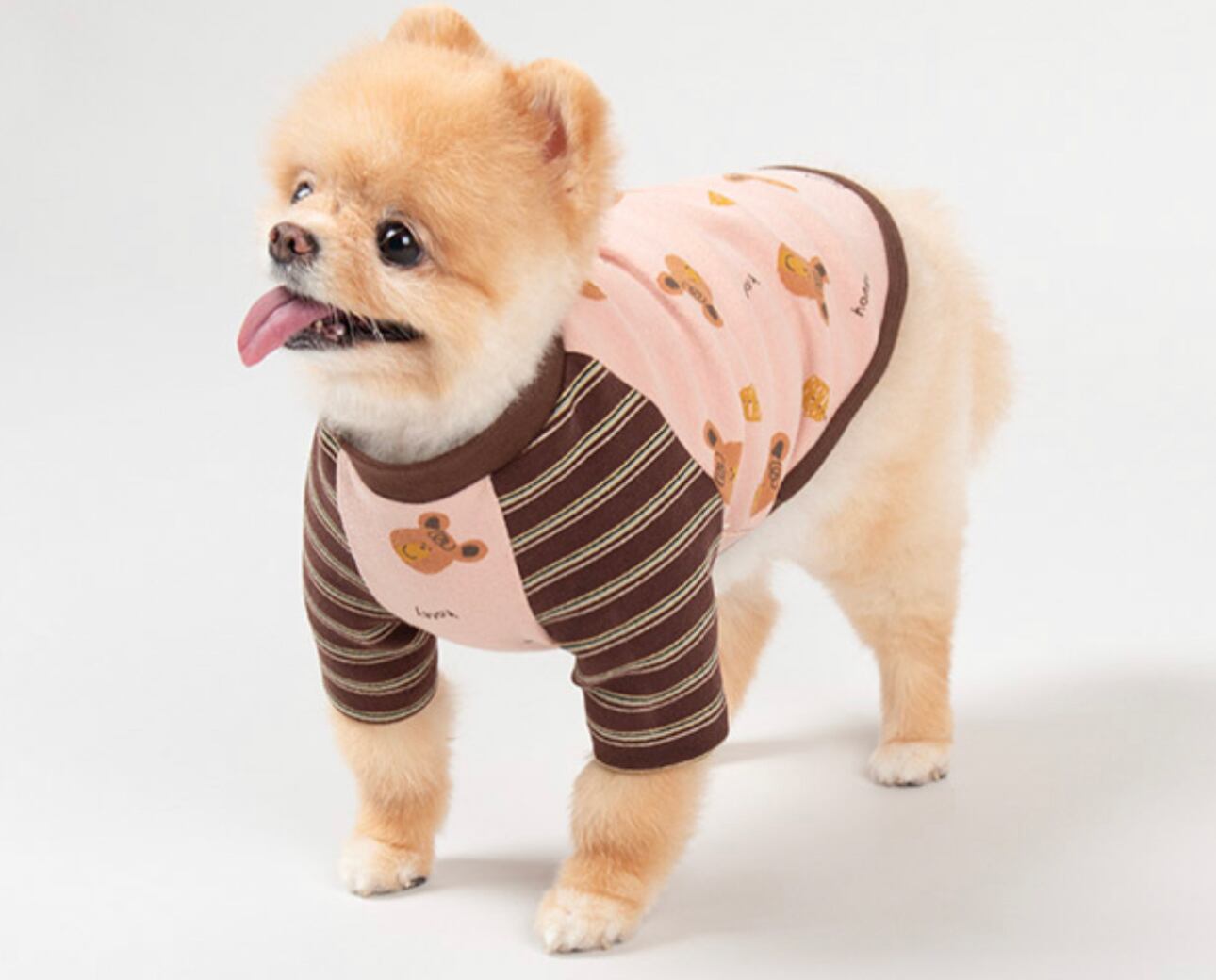 【SALE】 honey bear t-shirt 2color S ~ XL /  犬服 春夏 新作 ドッグウェア Tシャツ 長袖 可愛い 犬の服 コットン ストレッチ シンプル