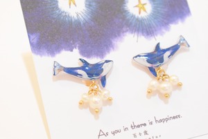 百々歳　泳ぐシャチイヤリング