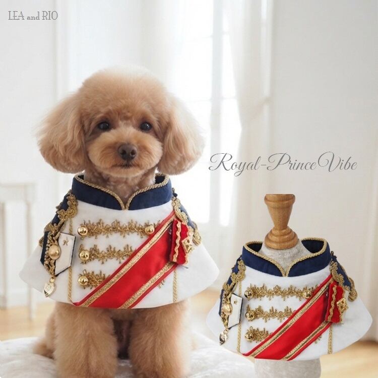 犬服はハンドメイド♡まゆみん様専用 わんこ服工房 Ponnu - 作品一覧