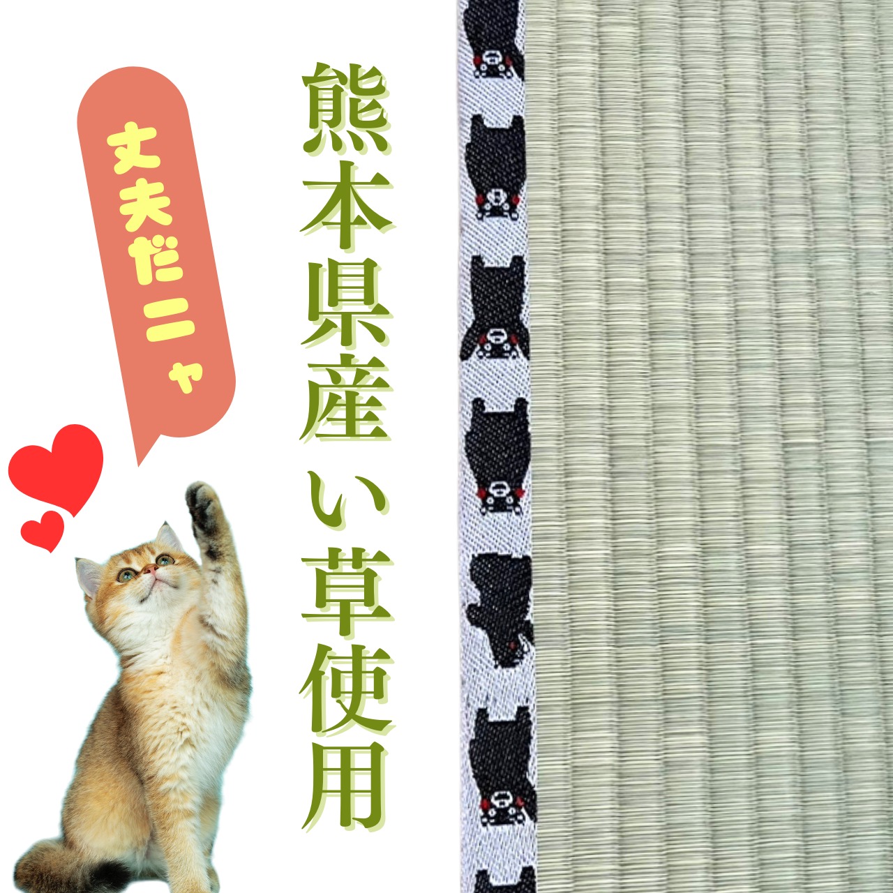熊本県産高級い草100% お猫様専用ミニ畳3枚セット くまモン柄 | NIHONT
