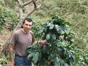 中煎　エルサルバドル　エル ジャガー　200g