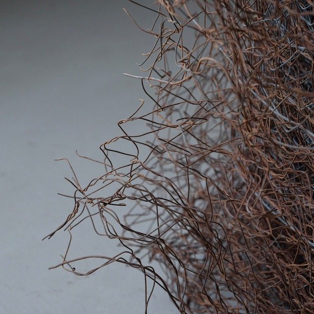 Iron mesh