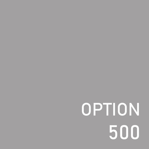 オプション500