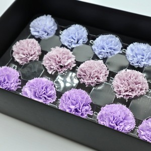 ミニカーネーションMC-MIX4紫,薄ブルー(15輪入り)