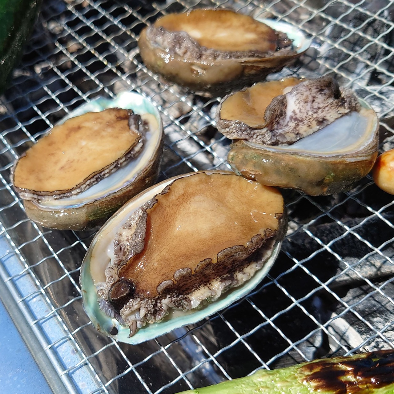 鹿児島県産　アナゴウ貝　生食も可能な超低温急速冷凍　500g入