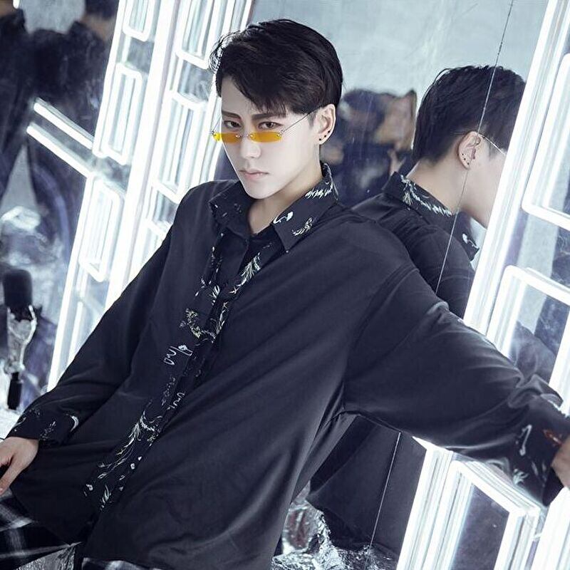 SEASONZ シャツ 長袖 鳳凰柄 レトロ 病み可愛い ゴスロリ系 ストリート