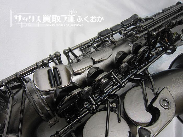 Cannonball A5-BiceB Raven キャノンボール 中古 アルトサックス