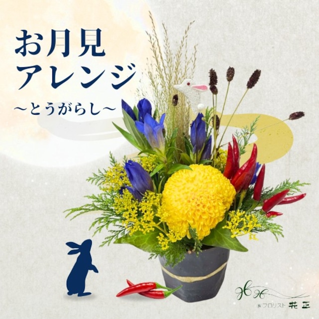 お月見限定「お月見アレンジ(トウガラシ)」アレンジメント おすすめ 生花 プレゼント ギフト お祝い 記念日　感謝　ありがとう