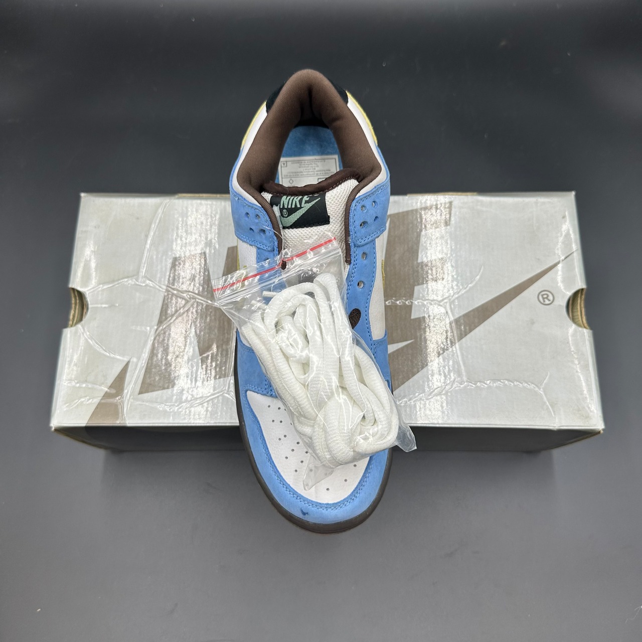 DUNK LOW PRO SB HOMER  304292-173