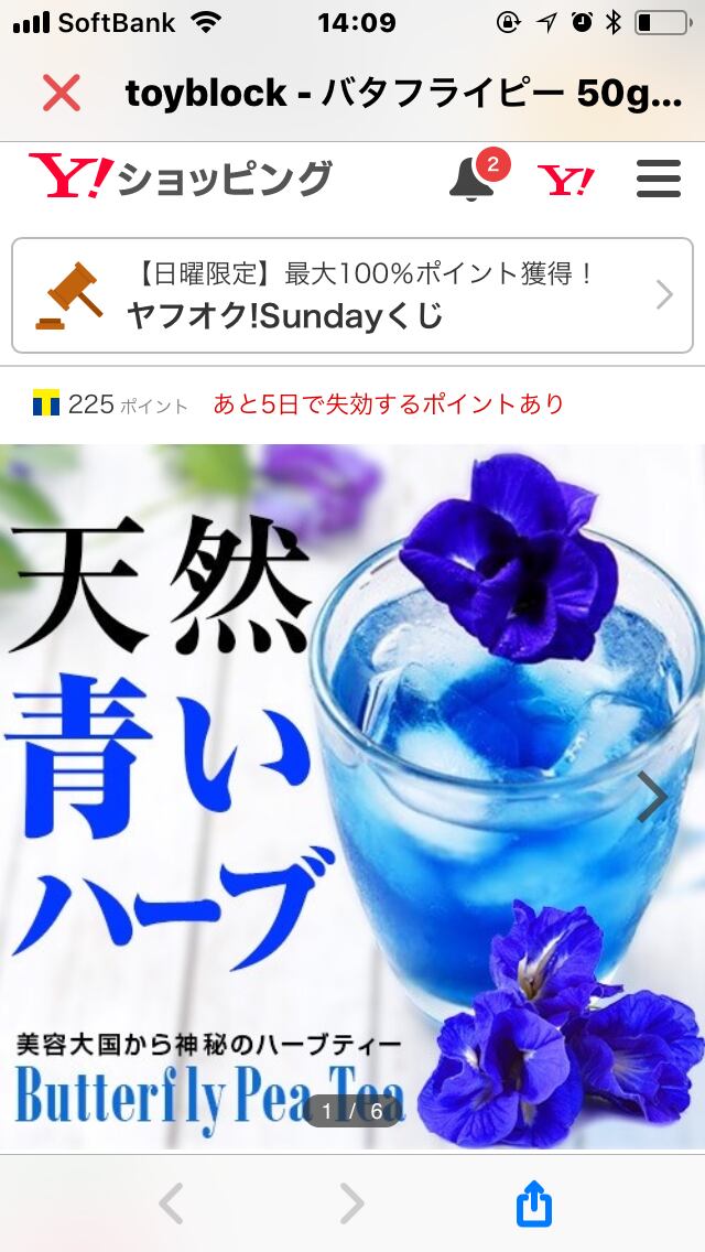 青いハーブティ バダフライピー めいちゃん 青いハーブティ バダフライピー めいちゃん