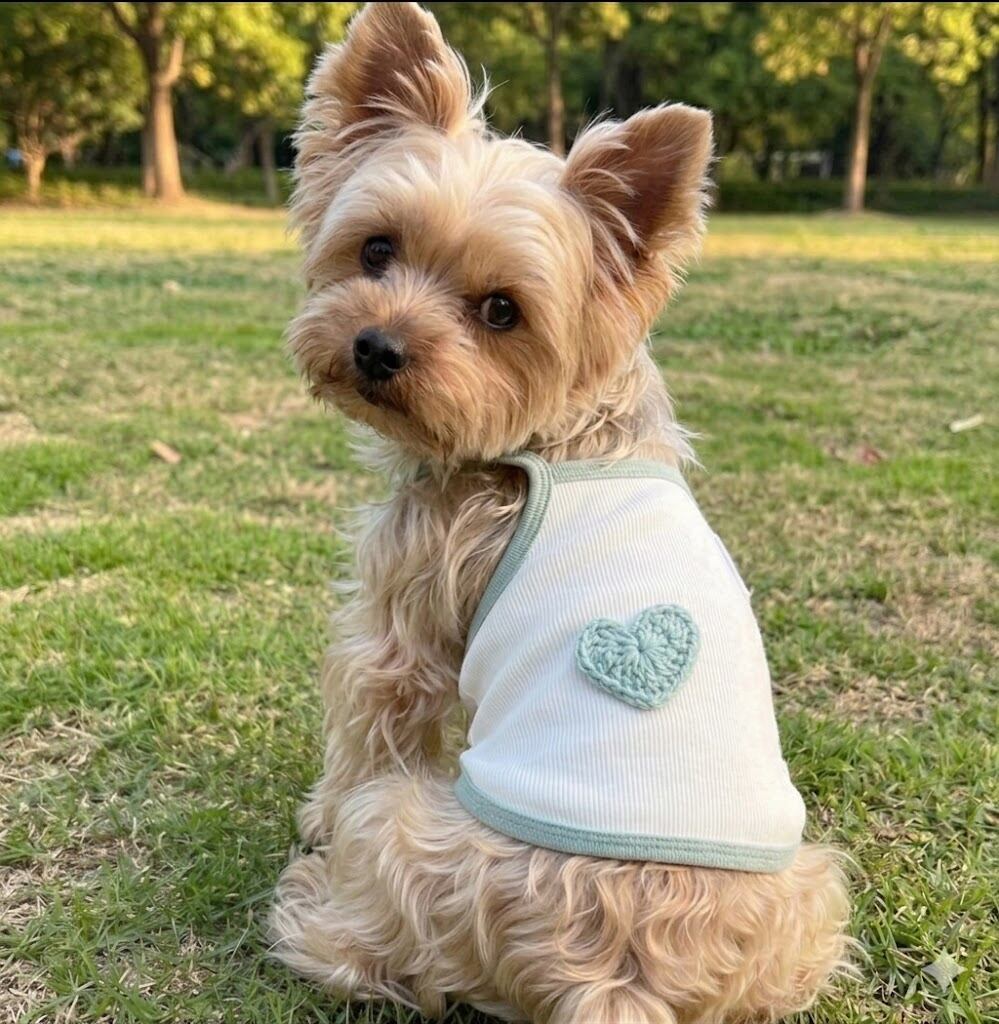ハート刺繍キャミソールトップス 犬服 01225