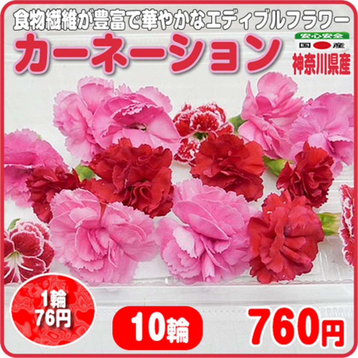 カーネーション 10輪 エディブルフラワー 母の日ギフトにも最適 神奈川県産 イーファーマーズ E Farmers カーネーション 10輪 エディブルフラワー 母の日ギフトにも最適 神奈川県産 イーファーマーズ E Farmers