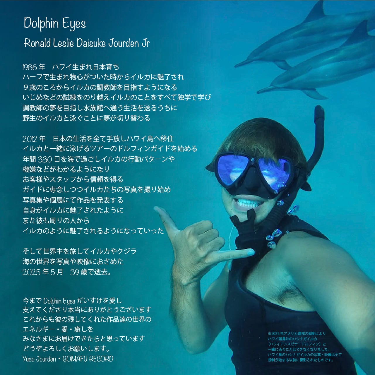 DOLPHIN EYES 2026年 カレンダー 『 Always in my Herat 』 イルカ