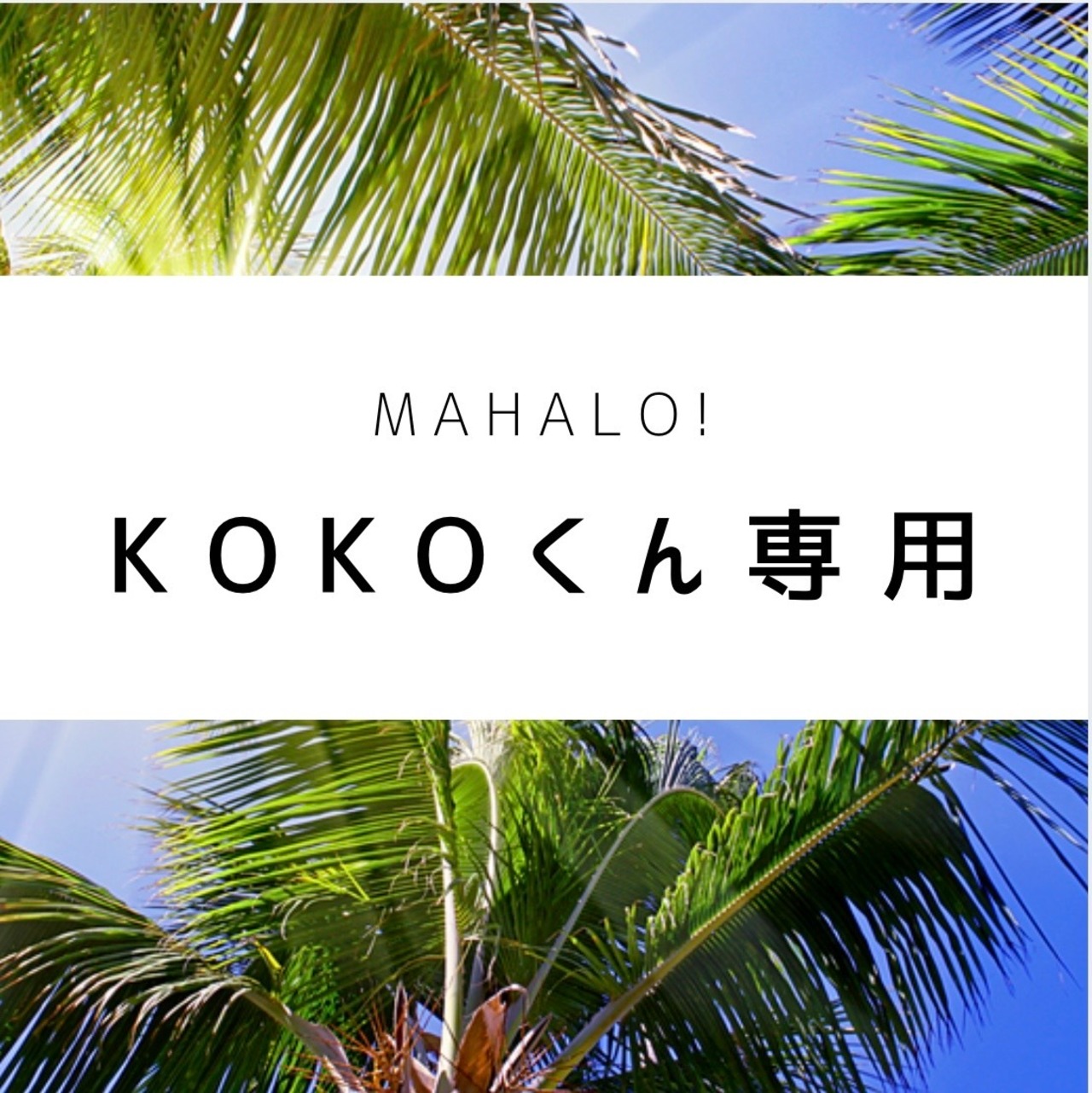 KOKOくん専用