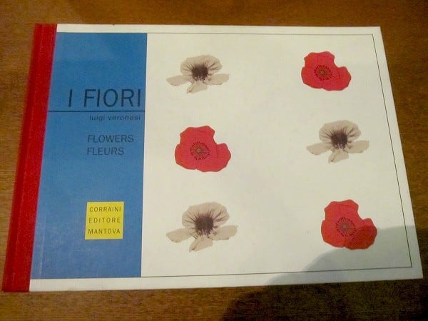 ルイジ・ヴェロネージ　絵本「I Fiori／Luigi Veronesi」 - 画像1