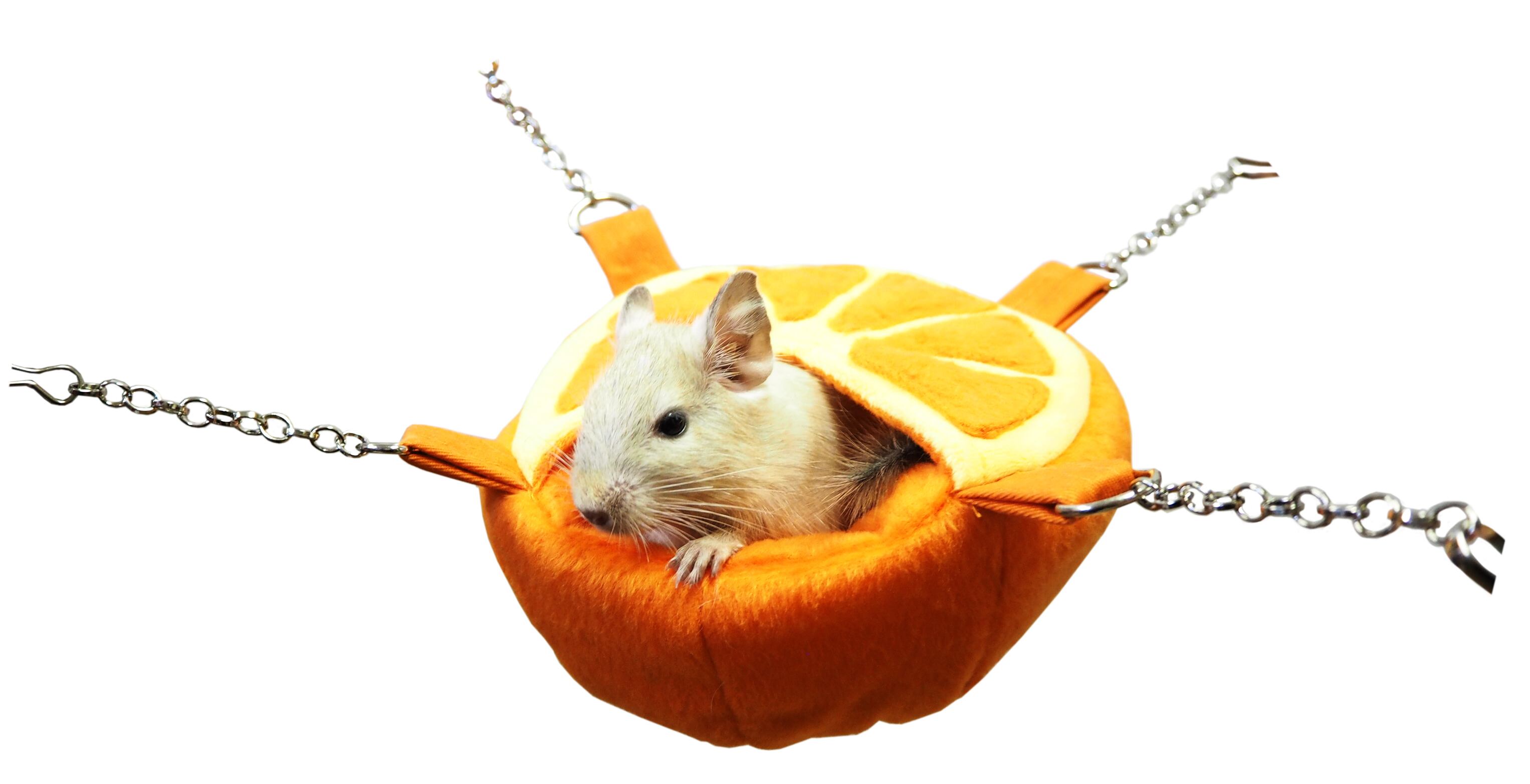 【小動物】フルーツカップ りんご/オレンジ