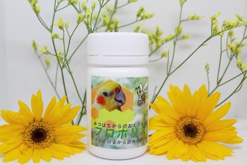 みつばちからのおくりものプロポリス(40g)チョコボA アップ