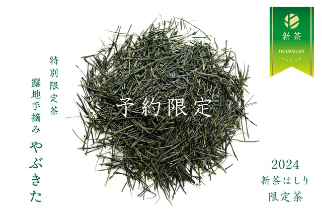 【予約限定 新茶はしり】手摘み2024新茶 1kg「露地やぶきた 500g×2本」