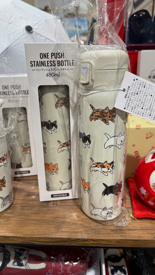 ステンレスワンプッシュボトル480ml