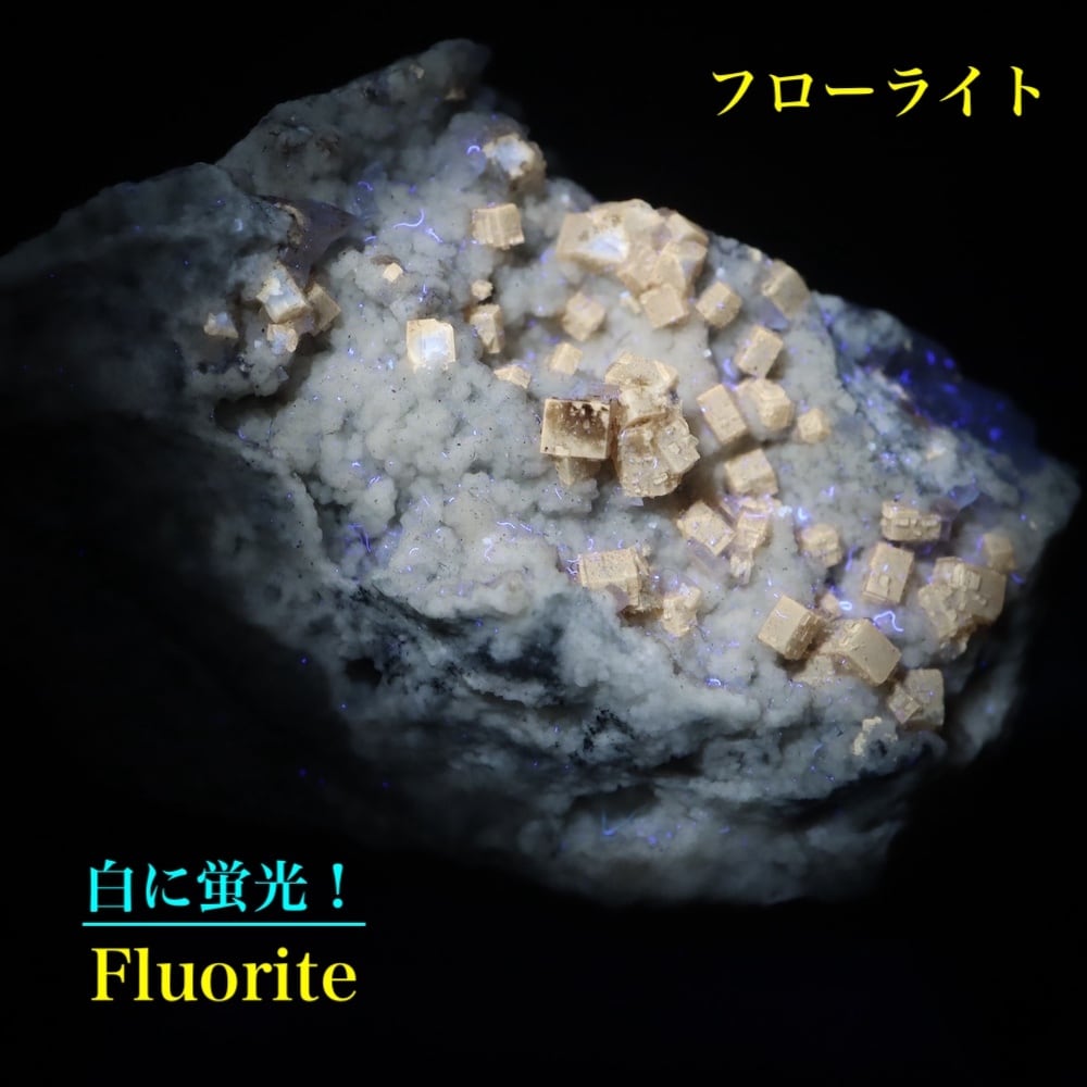 ユニーク！蛍石 フローライト 19.5g 原石 FL600 鉱物 天然石 | 鉱物
