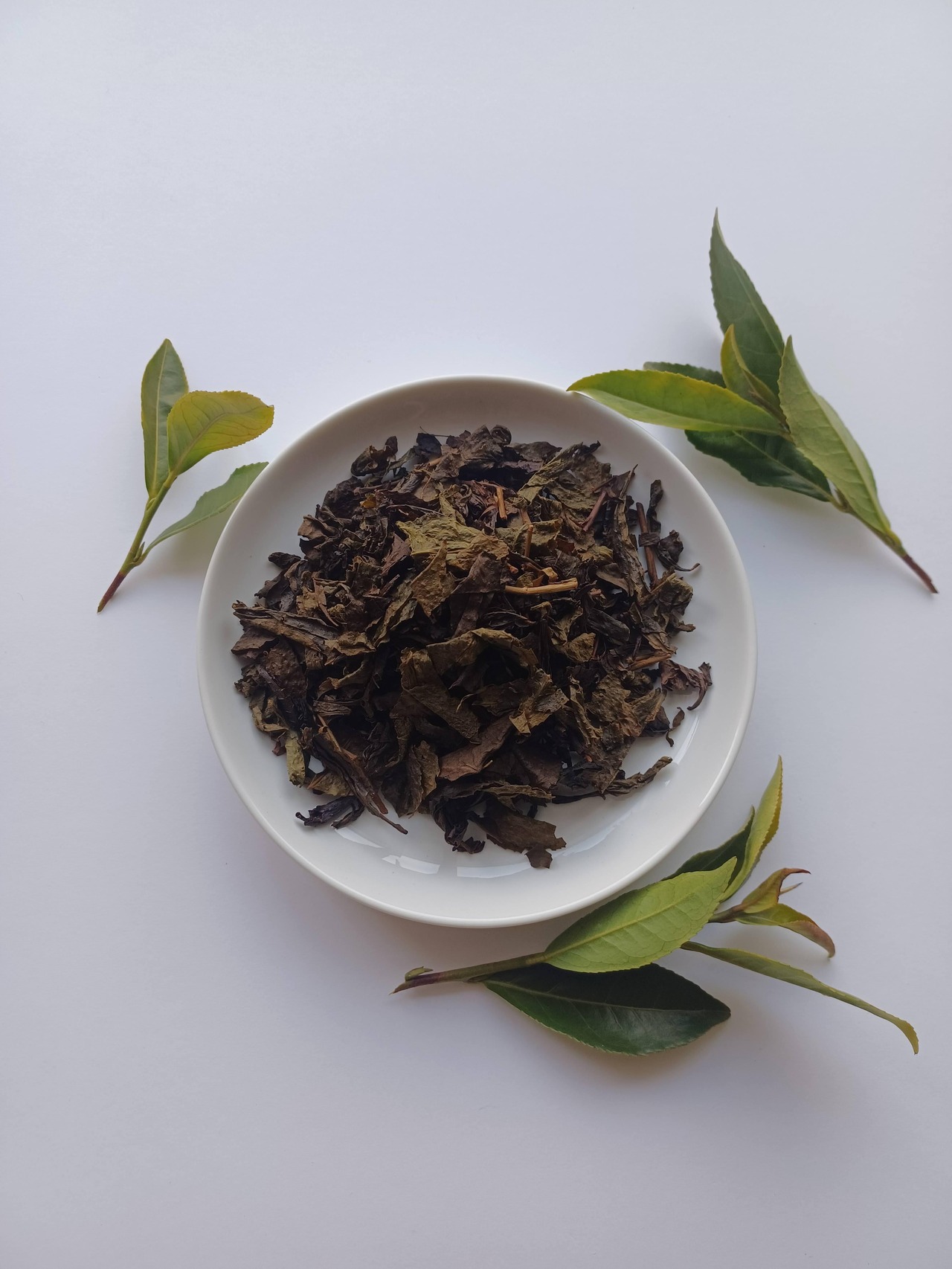 ほうじ茶ティーバッグ5個入り（タグ・ひもなし）｜毎日に寄り添うやさしい一杯