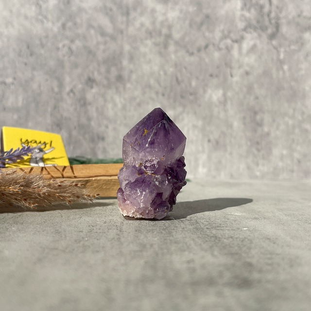 南アフリカ産 濃紫アメジスト カクタスクォーツ｜旧ロット・コレクターズピース