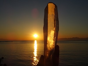 オールドレムリアンシード（オリジナル）