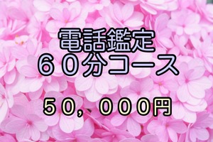 電話鑑定６０分コース(2024年1月1日〜)