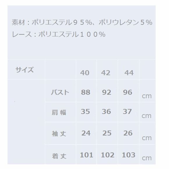 スーパービューティー ワンピース 襟元レース 花柄 半袖ワンピ 2516052