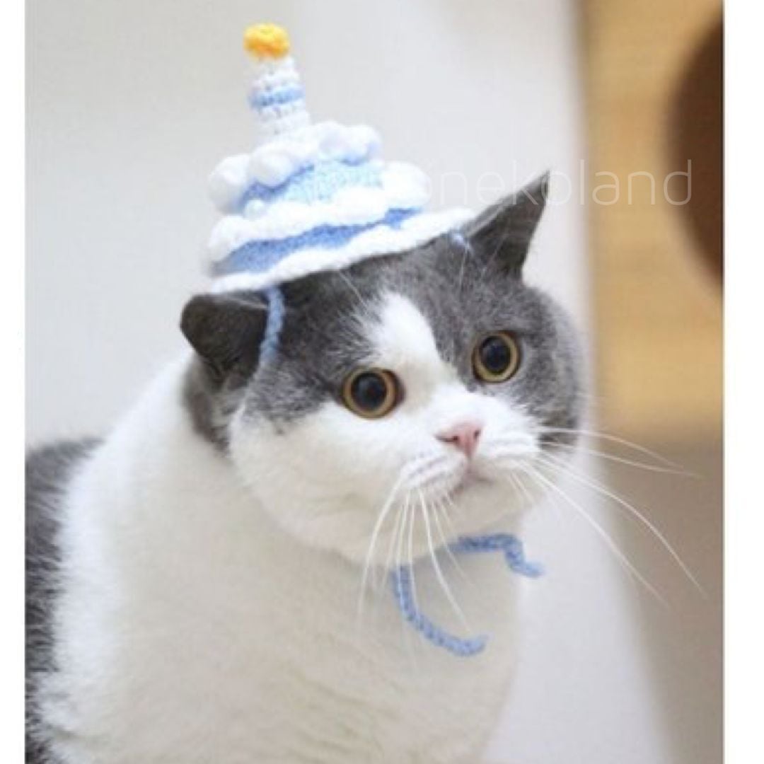 猫の帽子】送料無料 編み 毛糸 帽子 バースデーハット 誕生日帽子