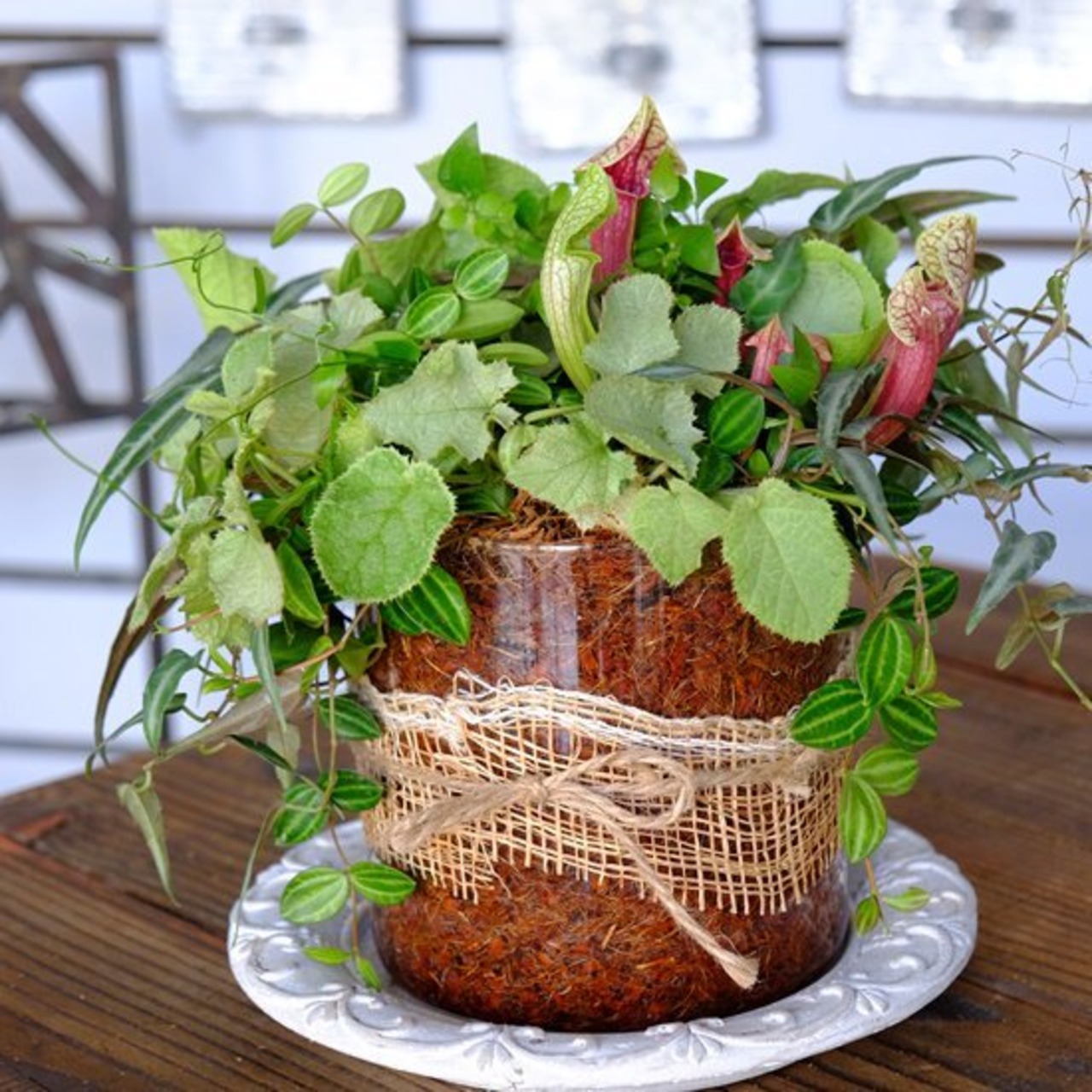 オーダー寄せ植え4500円