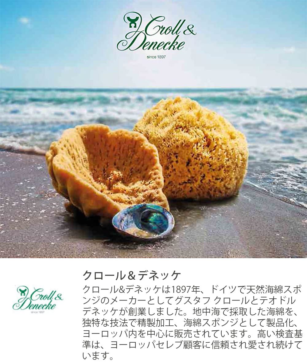天然 特大! 海綿スポンジ ギリシャ産 グラス種 XXLサイズ No.372 天然 特大! 海綿スポンジ ギリシャ産 グラス種 XXLサイズ No.372