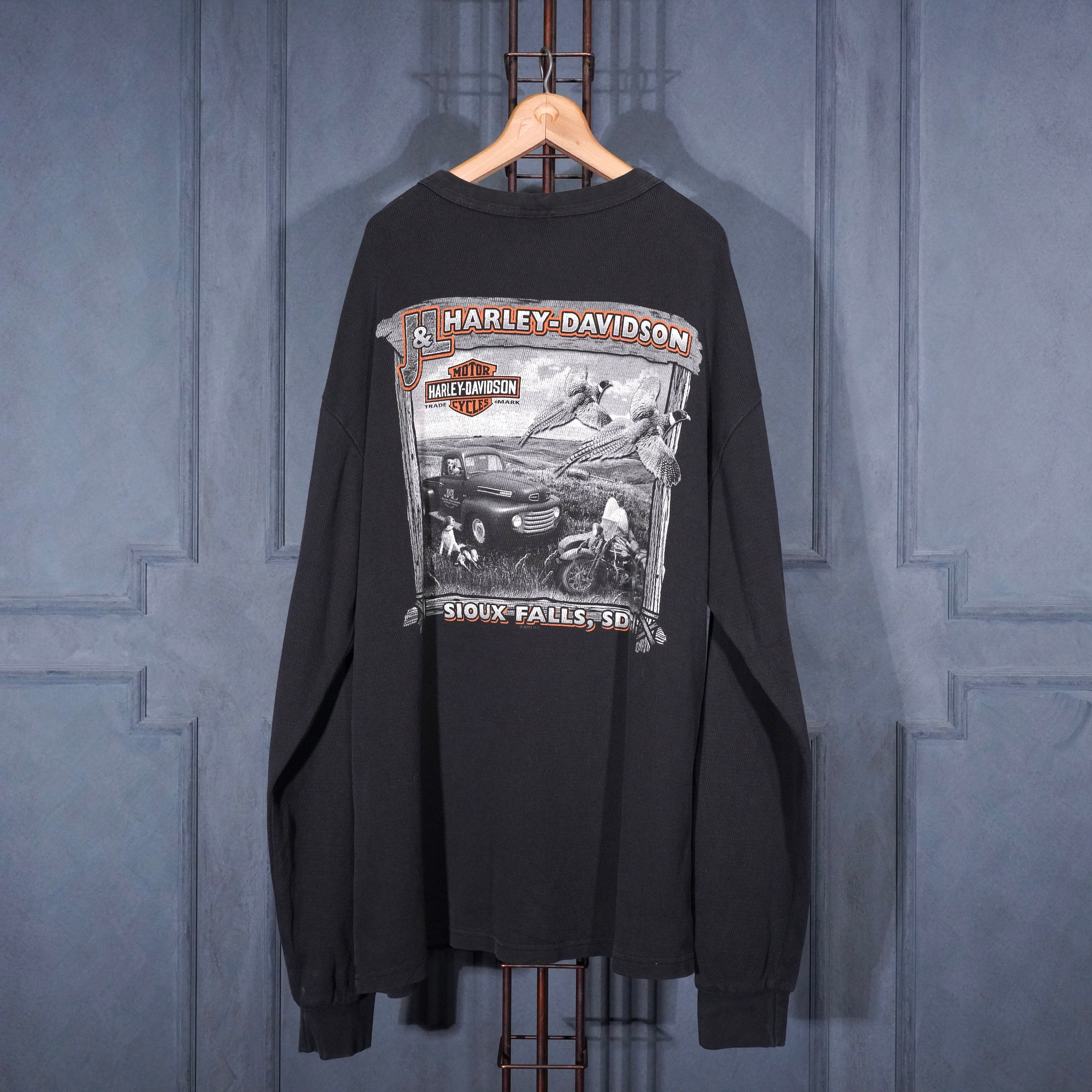【Q19】USA製ハーレーダビッドソン サーマルロンT 両面プリント2002年M USA VINTAGE HARLEY DAVIDSON DOUBLE SIDED PRINT DESIGN LONG SLEEVE
