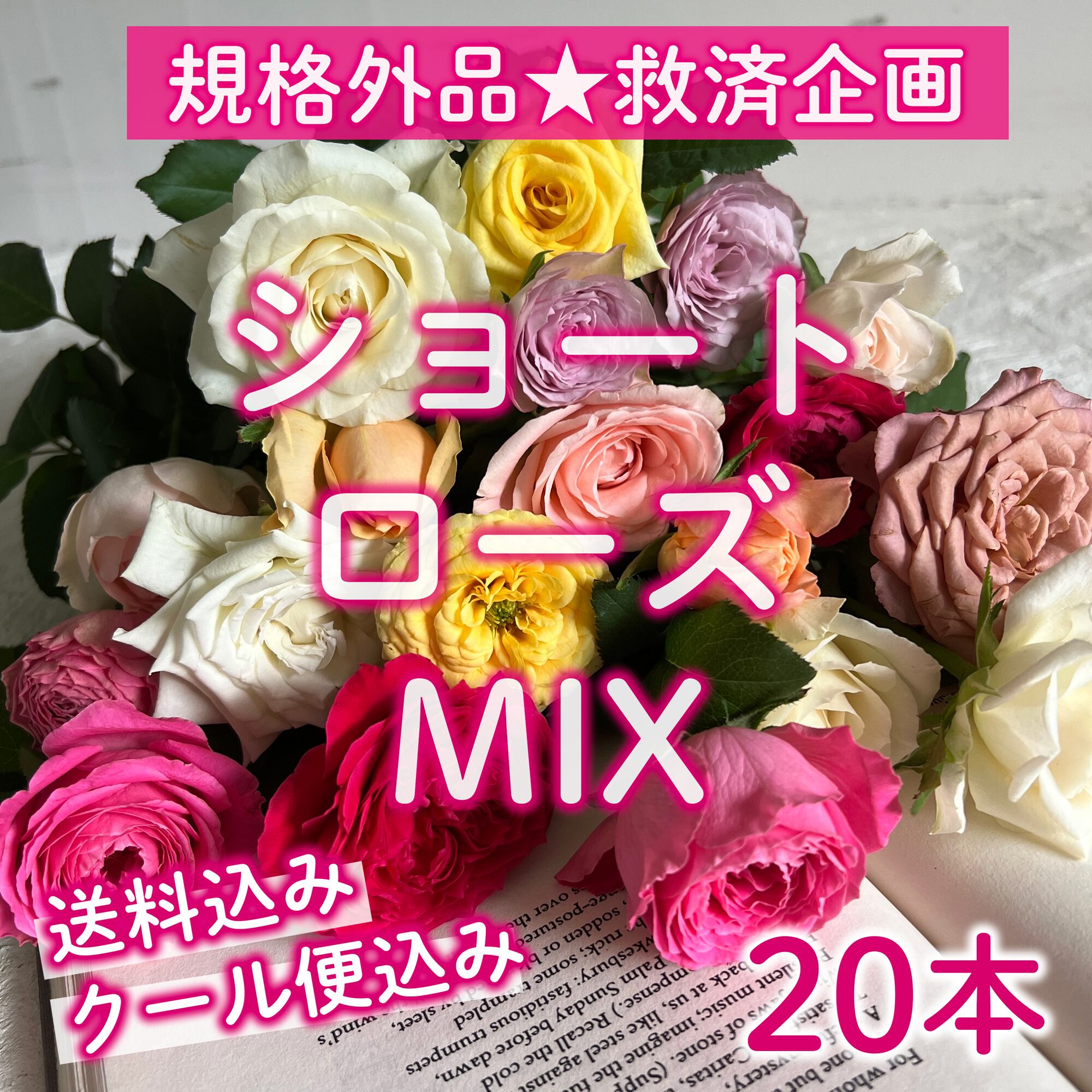 〈完売しました!救済ありがとうございます!〉【救済企画】〈送料・クール便込み〉ショート丈★規格外 バラ20本MIX★フラワーロス削減