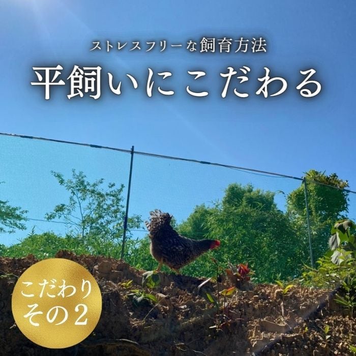 数量限定販売 【6個】最高級の卵「紀の夢たまご 極み」（特大サイズ