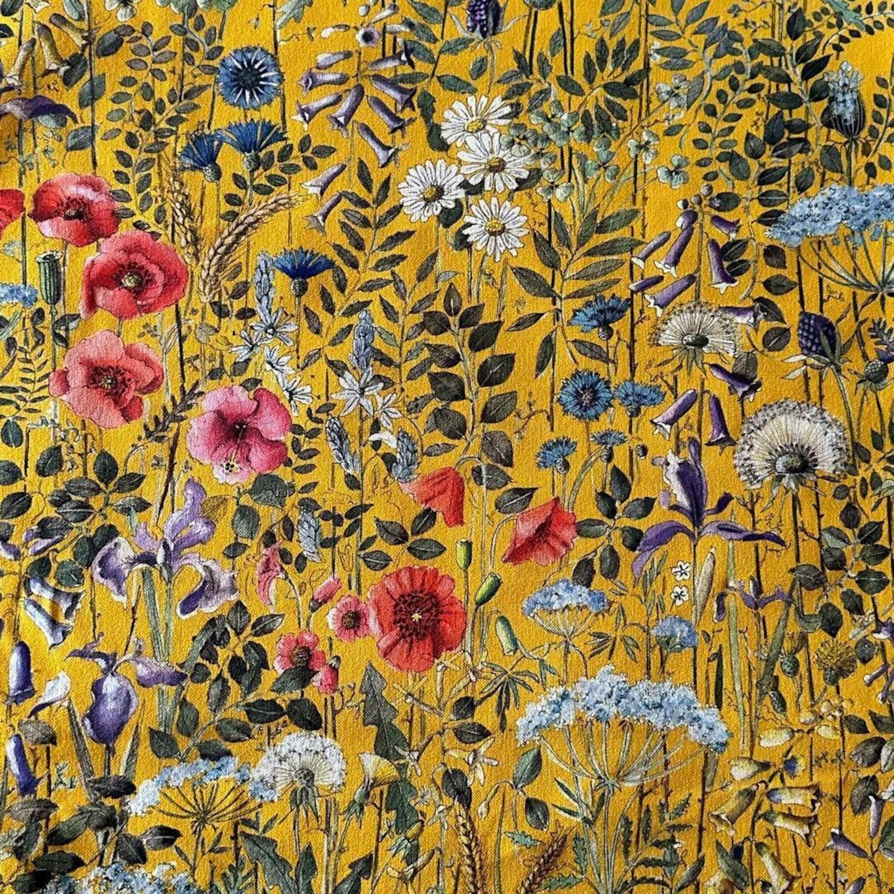 ★TB542◆120cm◆フランスTHEVENON◆オラクル◆イエロー◆