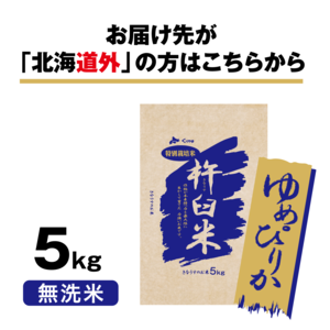 特別栽培米 北海道きなうすファーム ゆめぴりか5kg（無洗米）