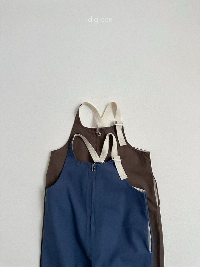 〘予約〙digreen / nova overalls
