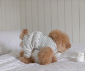 予約【Todley】Petite Bear Romper（White）